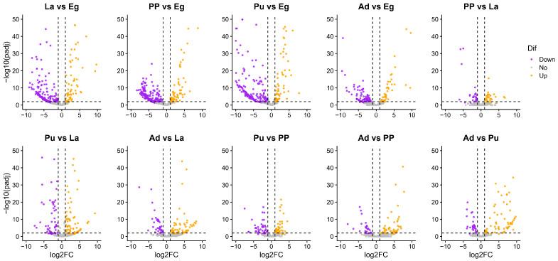 https://cdn.ncbi.nlm.nih.gov/pmc/blobs/b794/11855462/04402d4c5c9a/genes-16-00234-g004.jpg