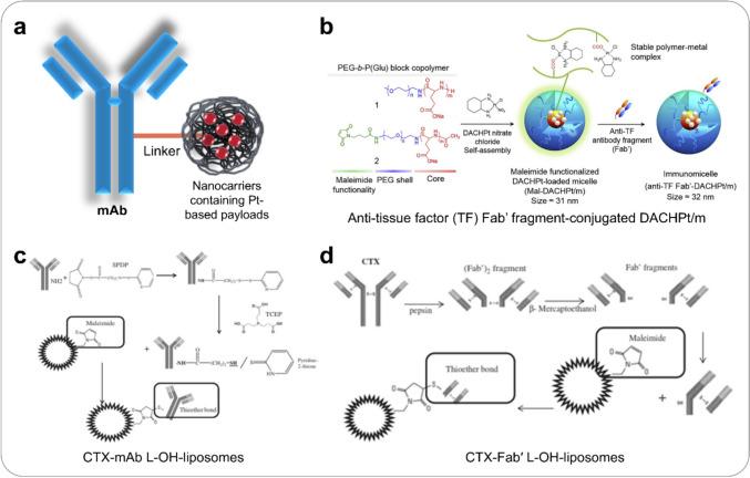 https://cdn.ncbi.nlm.nih.gov/pmc/blobs/b794/12167724/2abe3b3903ce/12032_2025_2812_Fig5_HTML.jpg