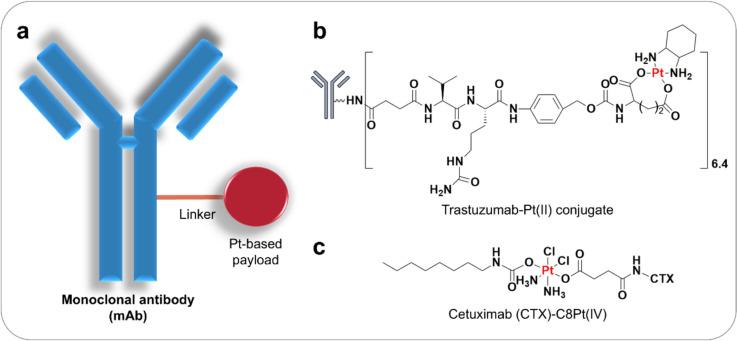 https://cdn.ncbi.nlm.nih.gov/pmc/blobs/b794/12167724/42e5dcb1e235/12032_2025_2812_Fig4_HTML.jpg
