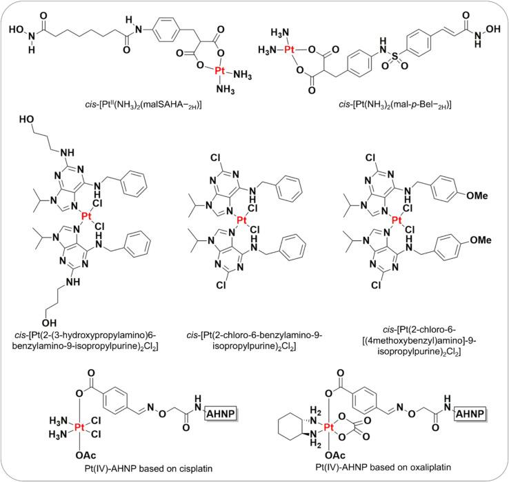 https://cdn.ncbi.nlm.nih.gov/pmc/blobs/b794/12167724/7cfc755acdb1/12032_2025_2812_Fig6_HTML.jpg