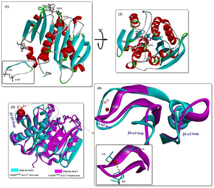 https://cdn.ncbi.nlm.nih.gov/pmc/blobs/b796/10577388/692367a32899/fmicb-14-1265139-g001.jpg