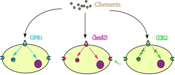 https://cdn.ncbi.nlm.nih.gov/pmc/blobs/b799/8939091/73e8faf61648/12967_2021_3220_Fig1_HTML.jpg