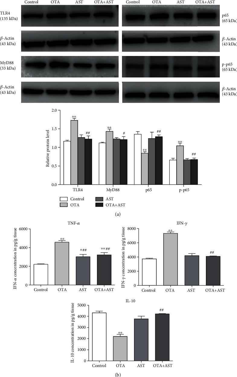 https://cdn.ncbi.nlm.nih.gov/pmc/blobs/b79a/7806395/4fb4944480e1/OMCL2021-8894491.004.jpg