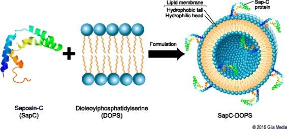 https://cdn.ncbi.nlm.nih.gov/pmc/blobs/b79b/4862232/50ece5b8fcdc/12943_2016_519_Fig1_HTML.jpg
