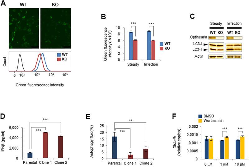 https://cdn.ncbi.nlm.nih.gov/pmc/blobs/b79c/10289332/3b4be902af14/pone.0287545.g002.jpg
