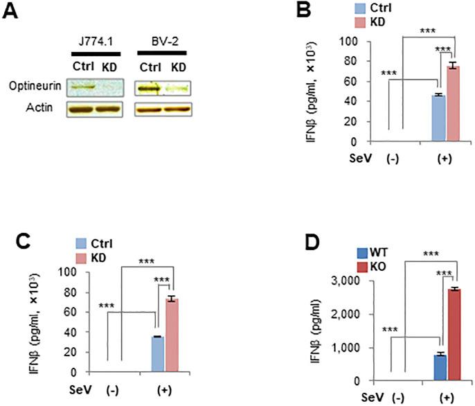 https://cdn.ncbi.nlm.nih.gov/pmc/blobs/b79c/10289332/84667d963b5b/pone.0287545.g003.jpg