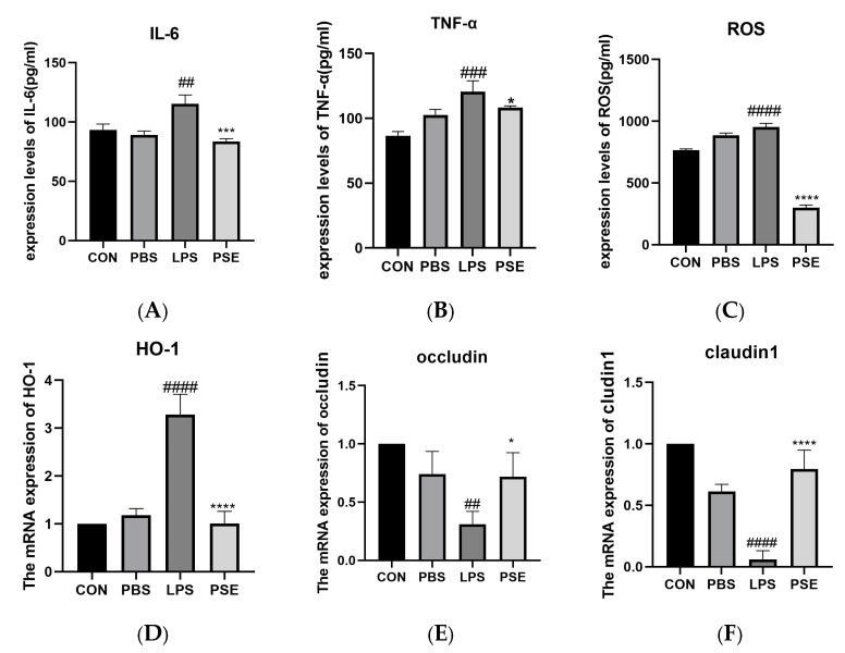 https://cdn.ncbi.nlm.nih.gov/pmc/blobs/b79c/12026851/c570df0383e2/ijms-26-03564-g003.jpg