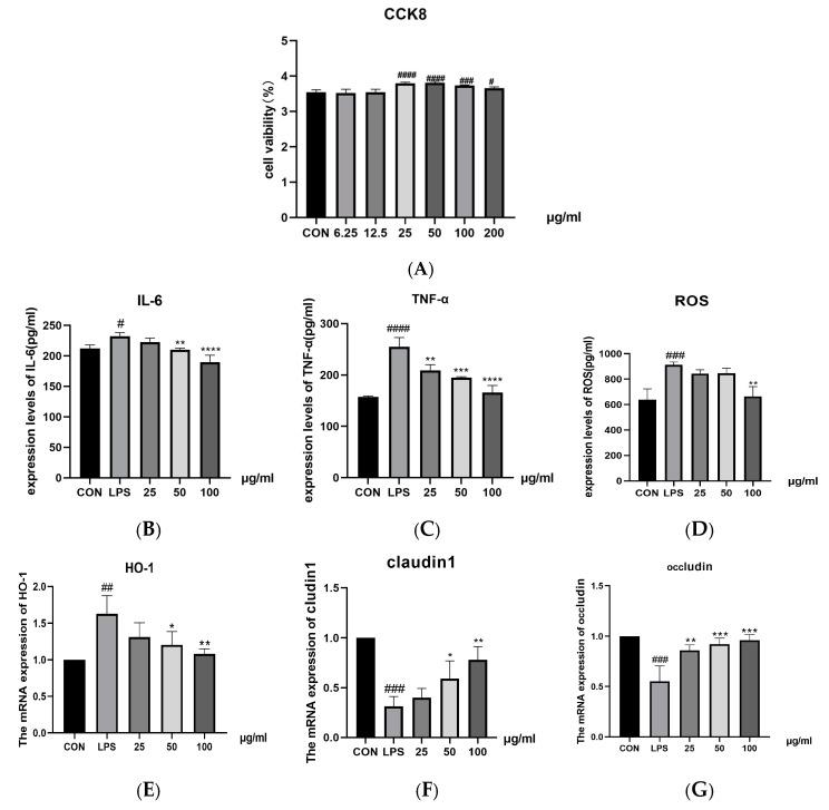 https://cdn.ncbi.nlm.nih.gov/pmc/blobs/b79c/12026851/c87a8a915b54/ijms-26-03564-g007.jpg