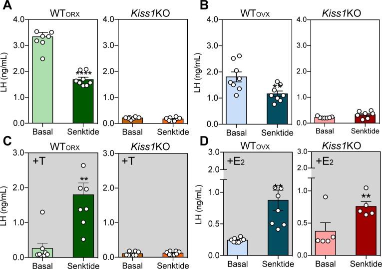 https://cdn.ncbi.nlm.nih.gov/pmc/blobs/b79c/6300354/bfc9dd6224d2/elife-40476-fig1.jpg