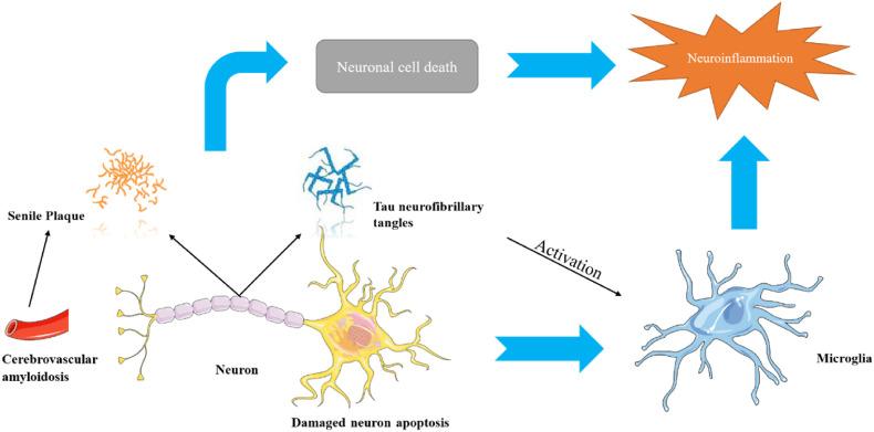 https://cdn.ncbi.nlm.nih.gov/pmc/blobs/b79f/8883737/161e7a94c902/gr3_lrg.jpg
