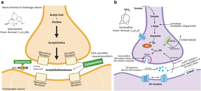 https://cdn.ncbi.nlm.nih.gov/pmc/blobs/b79f/8883737/30db54df96aa/gr4_lrg.jpg