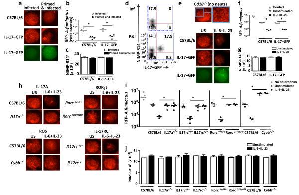 https://cdn.ncbi.nlm.nih.gov/pmc/blobs/b7a1/3972892/4ee8cbc69c78/nihms544370f7.jpg
