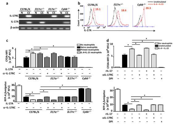 https://cdn.ncbi.nlm.nih.gov/pmc/blobs/b7a1/3972892/d19370fa4cdb/nihms544370f6.jpg