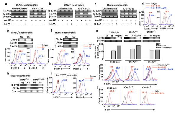 https://cdn.ncbi.nlm.nih.gov/pmc/blobs/b7a1/3972892/e51345d0ce3e/nihms544370f5.jpg