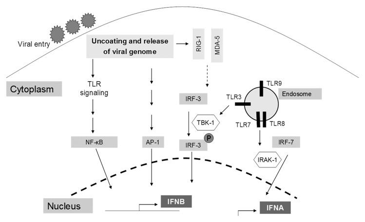 https://cdn.ncbi.nlm.nih.gov/pmc/blobs/b7a2/3956502/9a8ce1153419/viru-5-270-g1.jpg
