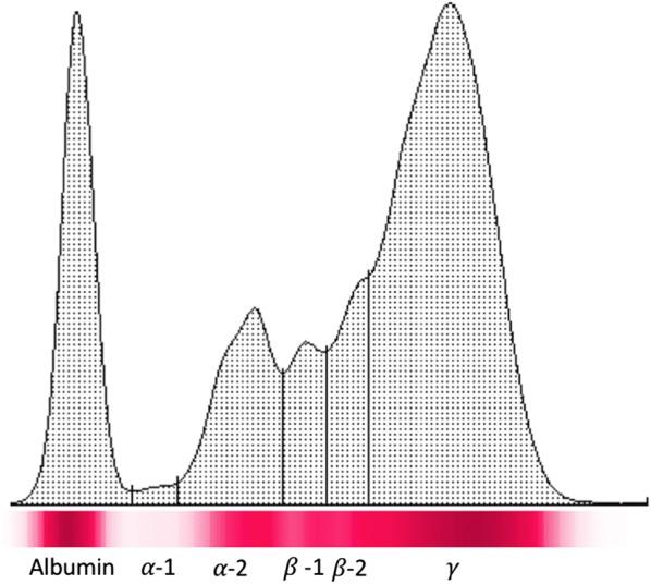 https://cdn.ncbi.nlm.nih.gov/pmc/blobs/b7a2/6434852/a2d5fe1679f6/13071_2019_3388_Fig4_HTML.jpg