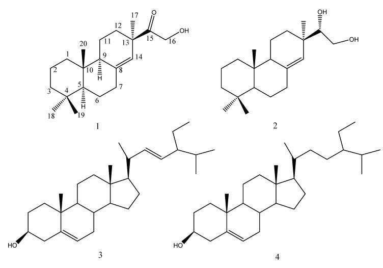 https://cdn.ncbi.nlm.nih.gov/pmc/blobs/b7a3/6245354/bd1f4829d3ce/molecules-13-00212-g001.jpg
