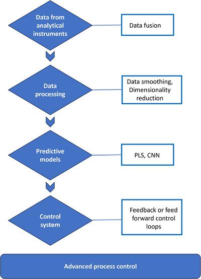 https://cdn.ncbi.nlm.nih.gov/pmc/blobs/b7a4/12120361/0b50e4a2b5b3/ANSA-6-e70013-g004.jpg