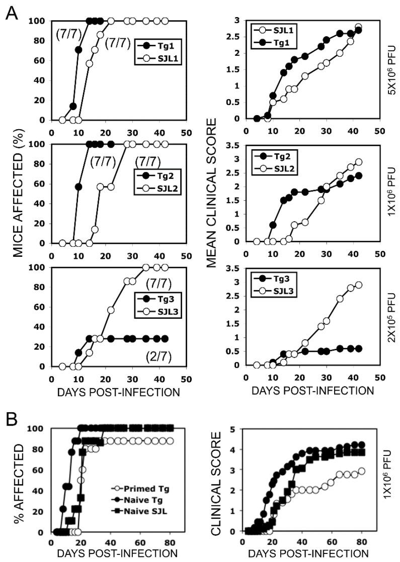https://cdn.ncbi.nlm.nih.gov/pmc/blobs/b7a4/7588906/ec6629f387f3/ijms-21-07719-g003.jpg