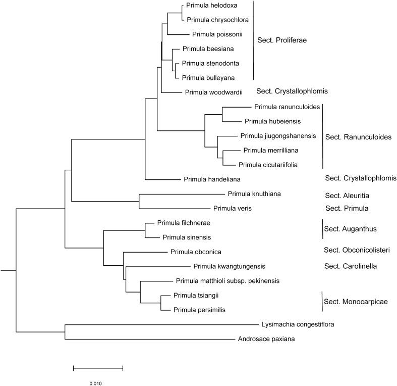 https://cdn.ncbi.nlm.nih.gov/pmc/blobs/b7a4/7699626/29bfe44f64f4/41598_2020_77661_Fig4_HTML.jpg
