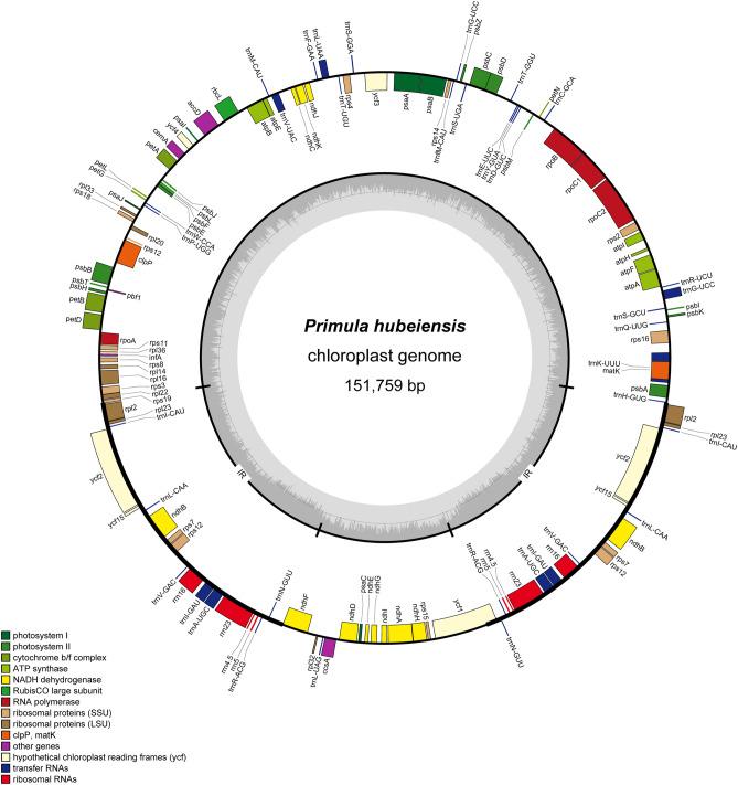 https://cdn.ncbi.nlm.nih.gov/pmc/blobs/b7a4/7699626/cac813bf1563/41598_2020_77661_Fig1_HTML.jpg