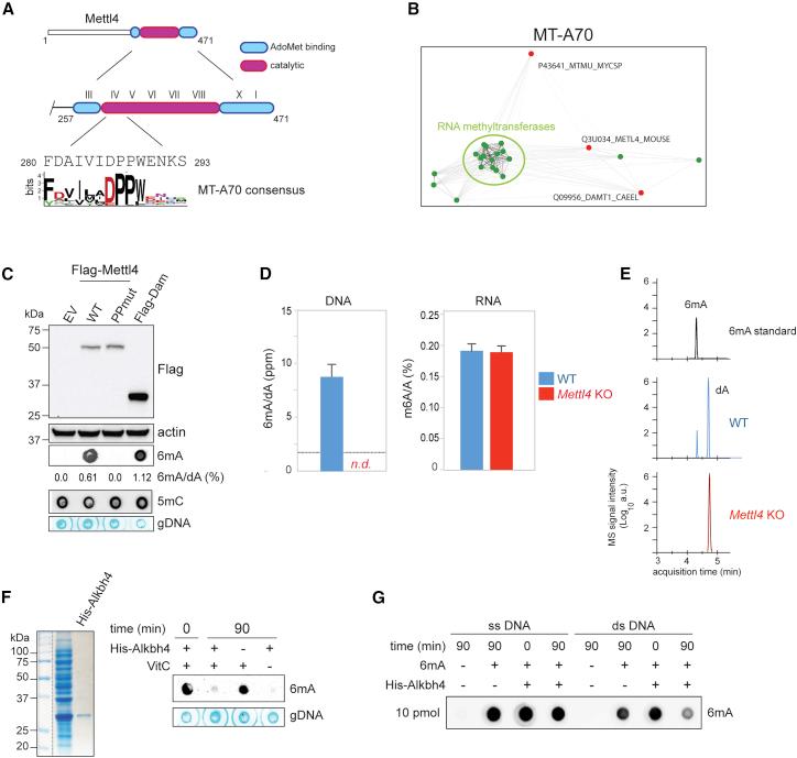 https://cdn.ncbi.nlm.nih.gov/pmc/blobs/b7a6/6591016/ee26b80e6490/gr1.jpg