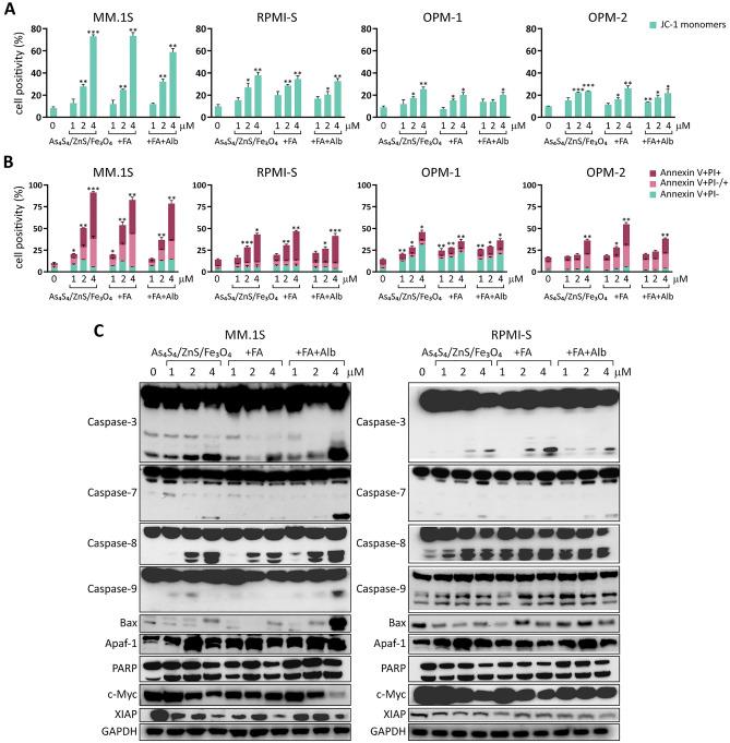 https://cdn.ncbi.nlm.nih.gov/pmc/blobs/b7a8/9606304/6394eccdbc02/41598_2022_22672_Fig2_HTML.jpg