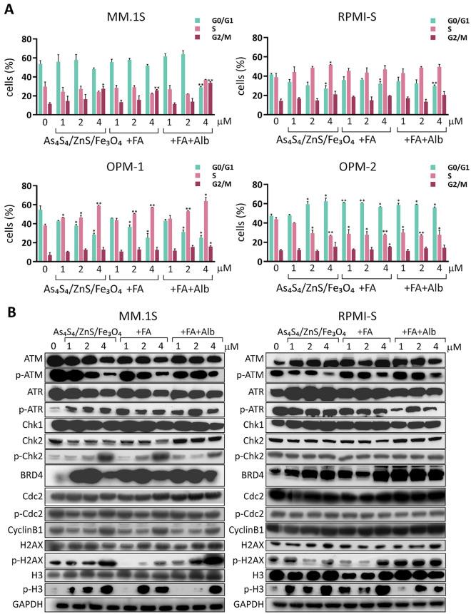 https://cdn.ncbi.nlm.nih.gov/pmc/blobs/b7a8/9606304/7c35f0ac0d02/41598_2022_22672_Fig3_HTML.jpg