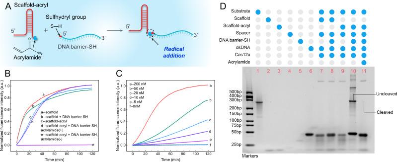 https://cdn.ncbi.nlm.nih.gov/pmc/blobs/b7a9/12125223/d28383fb6aa1/41467_2025_60265_Fig2_HTML.jpg