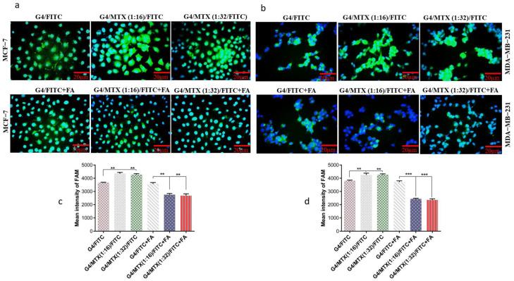 https://cdn.ncbi.nlm.nih.gov/pmc/blobs/b7a9/8303903/034502401048/genes-12-01102-g002.jpg