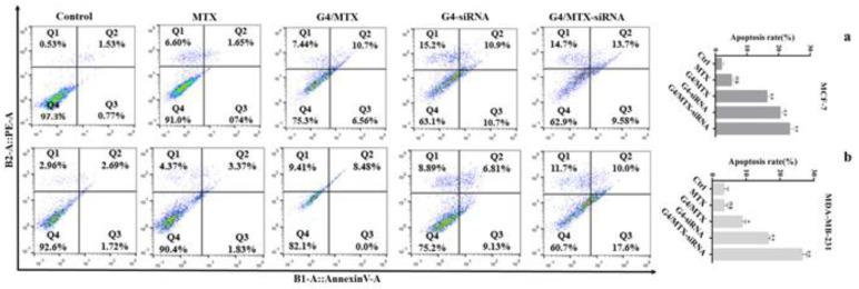 https://cdn.ncbi.nlm.nih.gov/pmc/blobs/b7a9/8303903/807bf689f837/genes-12-01102-g006.jpg