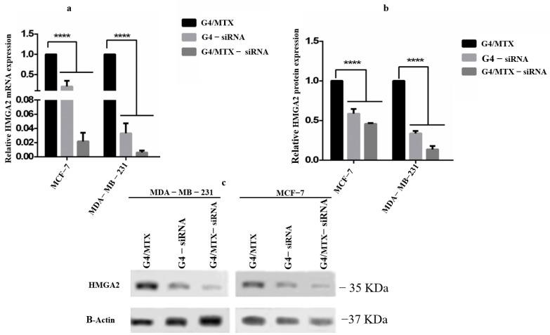 https://cdn.ncbi.nlm.nih.gov/pmc/blobs/b7a9/8303903/8364160032d8/genes-12-01102-g004.jpg