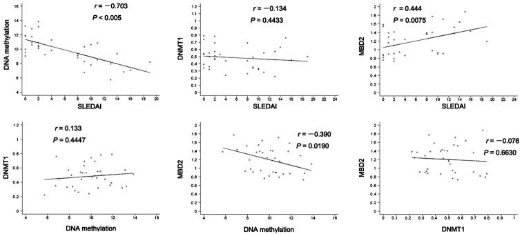 https://cdn.ncbi.nlm.nih.gov/pmc/blobs/b7ab/3628076/30a674ed1d41/ETM-05-04-1219-g01.jpg