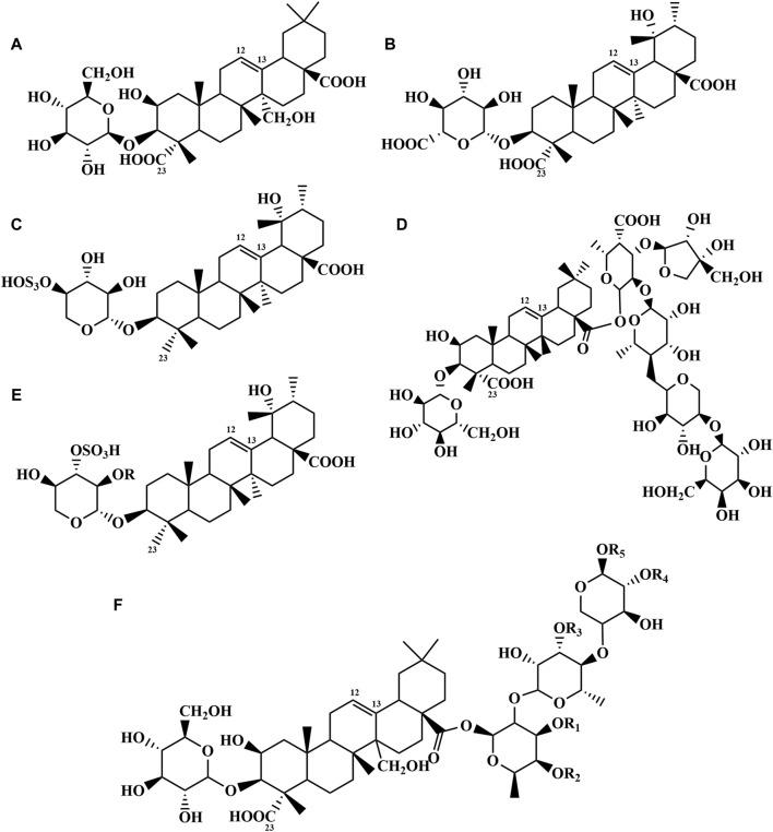 https://cdn.ncbi.nlm.nih.gov/pmc/blobs/b7ad/11169621/729278c4f1ce/fphar-15-1420853-g002.jpg