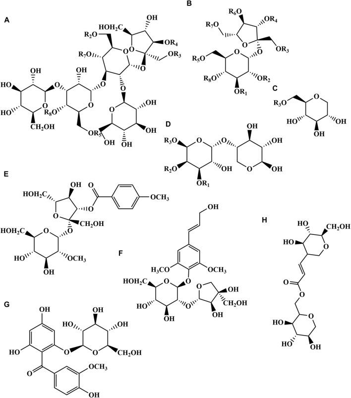 https://cdn.ncbi.nlm.nih.gov/pmc/blobs/b7ad/11169621/a49c50dfa8dd/fphar-15-1420853-g004.jpg