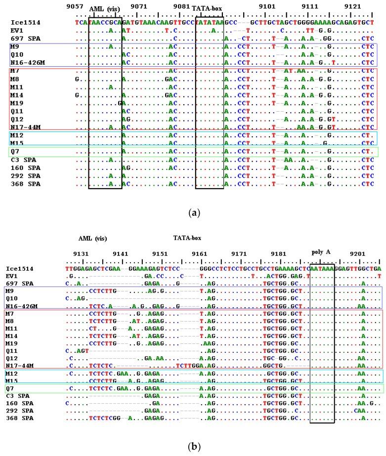 https://cdn.ncbi.nlm.nih.gov/pmc/blobs/b7ad/6024768/a91bea3a0e06/viruses-10-00315-g006.jpg