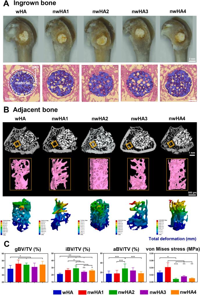 https://cdn.ncbi.nlm.nih.gov/pmc/blobs/b7ad/8964988/2345be891fb2/gr5.jpg
