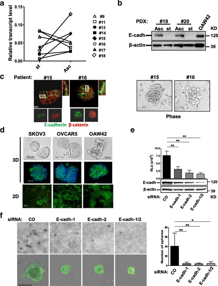 https://cdn.ncbi.nlm.nih.gov/pmc/blobs/b7af/6042237/9bdff71b028a/13046_2018_796_Fig1_HTML.jpg