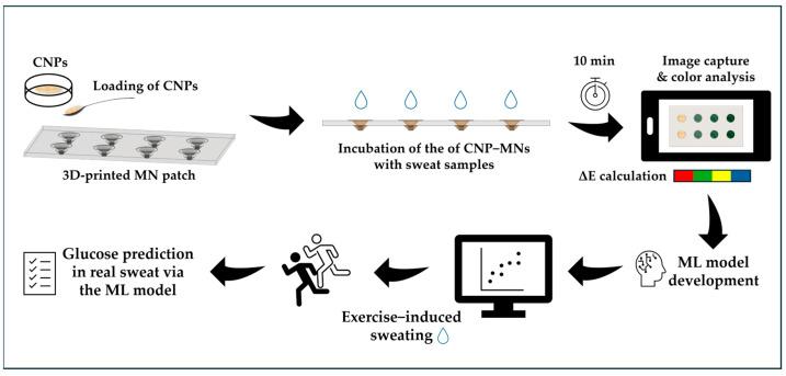https://cdn.ncbi.nlm.nih.gov/pmc/blobs/b7b2/12293215/b5bf6ac059e8/biosensors-15-00461-g002.jpg