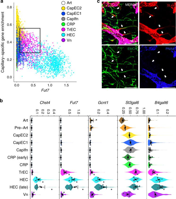 https://cdn.ncbi.nlm.nih.gov/pmc/blobs/b7b2/7393069/a9fedd65522d/41467_2020_17291_Fig4_HTML.jpg