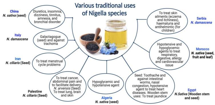 https://cdn.ncbi.nlm.nih.gov/pmc/blobs/b7b4/10675207/8f22d7c0ab80/plants-12-03829-g001.jpg