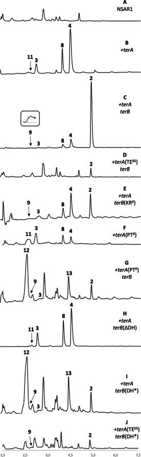 https://cdn.ncbi.nlm.nih.gov/pmc/blobs/b7b4/8251887/fe169aa5381c/ANIE-60-11423-g003.jpg
