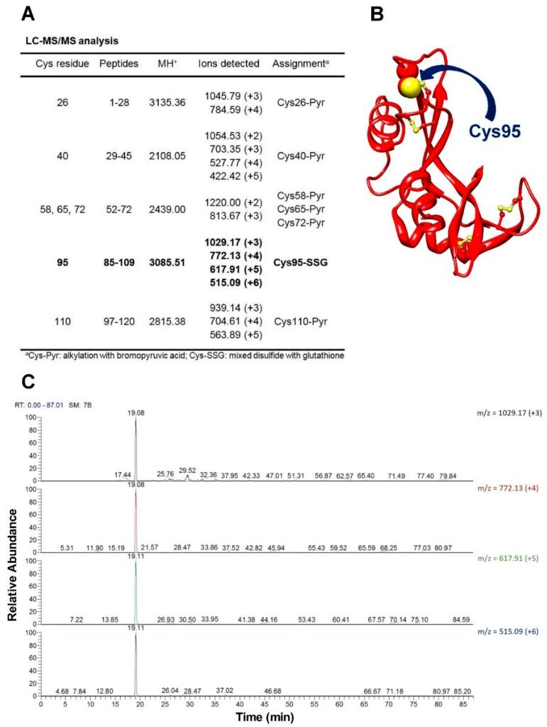 https://cdn.ncbi.nlm.nih.gov/pmc/blobs/b7b5/6862303/393b2ca8cd88/ijms-20-05440-g007.jpg