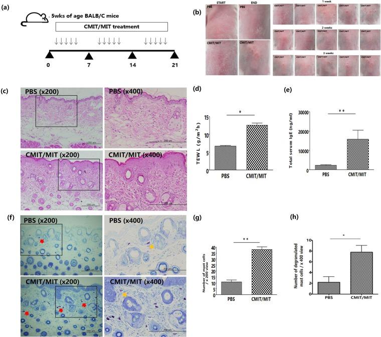 https://cdn.ncbi.nlm.nih.gov/pmc/blobs/b7b5/7058054/74ac6cf4e737/41598_2020_60966_Fig1_HTML.jpg