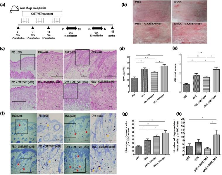 https://cdn.ncbi.nlm.nih.gov/pmc/blobs/b7b5/7058054/ae358149d8f8/41598_2020_60966_Fig3_HTML.jpg
