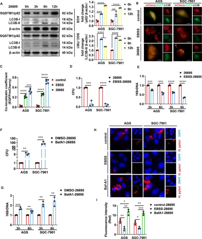 https://cdn.ncbi.nlm.nih.gov/pmc/blobs/b7b5/8034483/49bd68f8aad8/JCMM-25-3348-g002.jpg