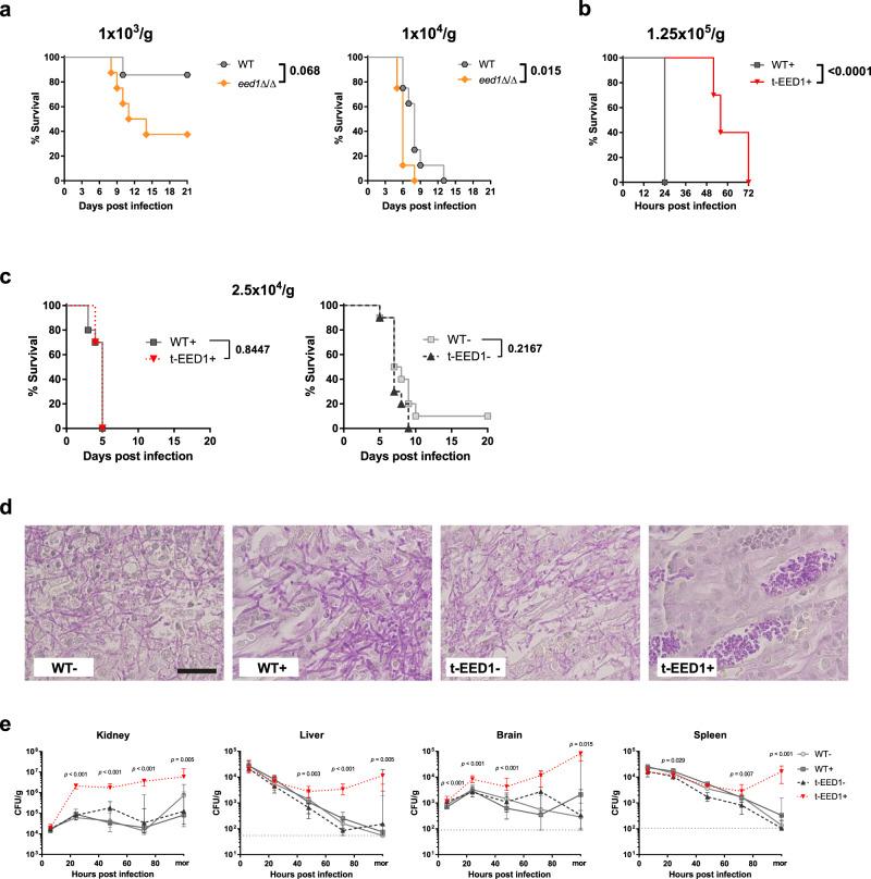 https://cdn.ncbi.nlm.nih.gov/pmc/blobs/b7b5/8222383/3925e4874435/41467_2021_24095_Fig3_HTML.jpg