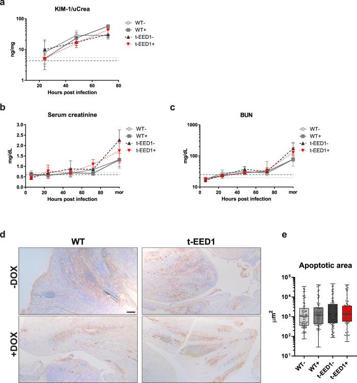 https://cdn.ncbi.nlm.nih.gov/pmc/blobs/b7b5/8222383/890cc63ffc16/41467_2021_24095_Fig8_HTML.jpg