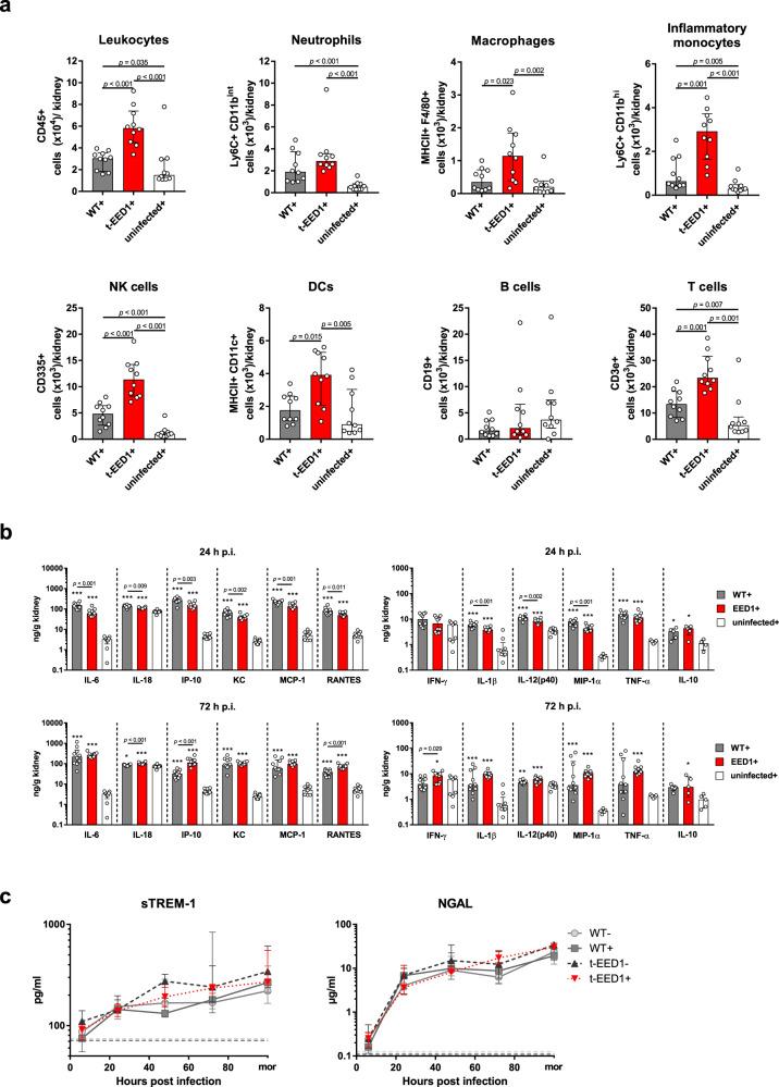 https://cdn.ncbi.nlm.nih.gov/pmc/blobs/b7b5/8222383/b2c0fa2bdef3/41467_2021_24095_Fig4_HTML.jpg