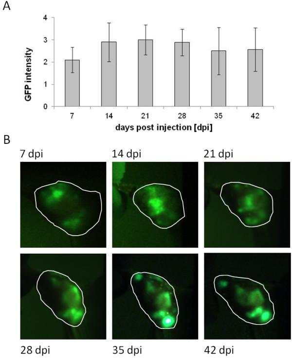 https://cdn.ncbi.nlm.nih.gov/pmc/blobs/b7b7/3621142/43e26604074f/1479-5876-11-79-7.jpg